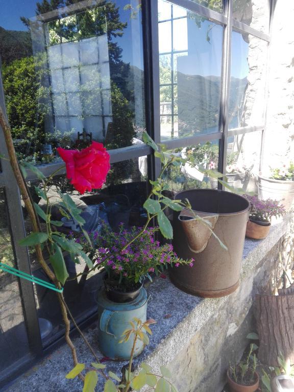 Sweet Home Faggeto Lario Esterno foto